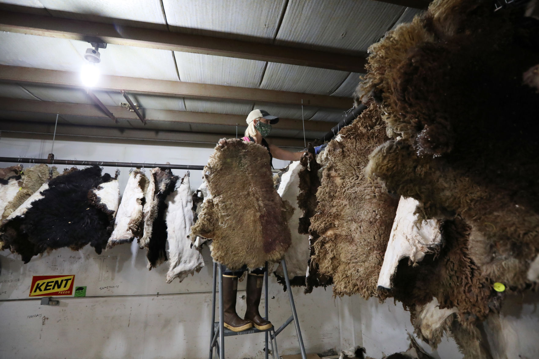 Driftless Traditional Tannery